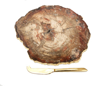 Petrified Wood Platter - Best Wood For Charcuterie Board