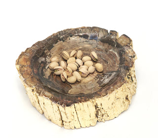 Petrified Wood Dish - Madagascar Petrified Wood